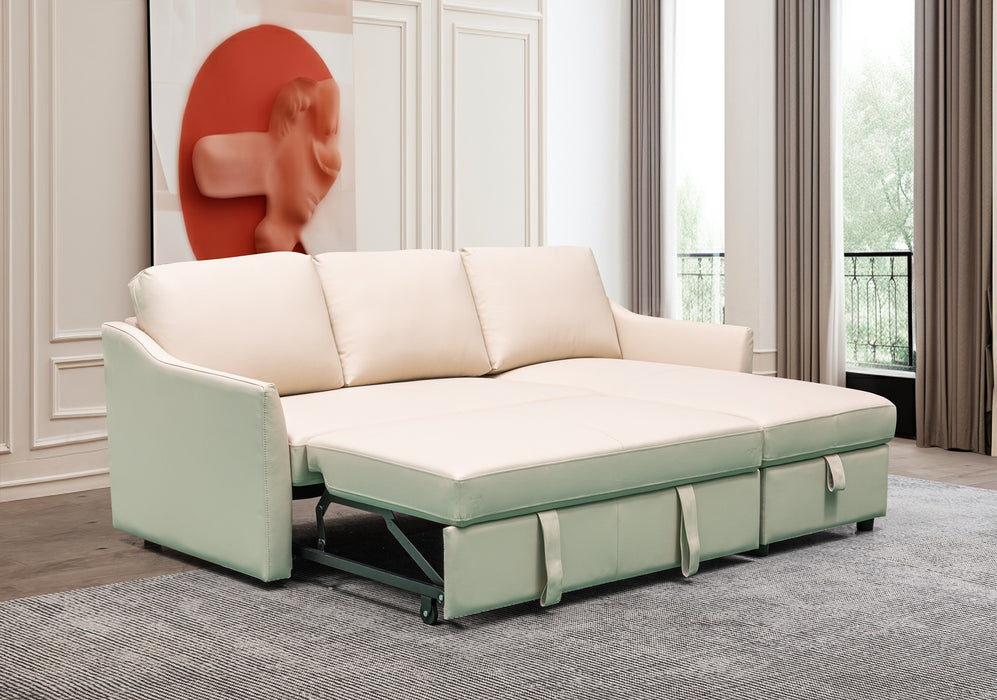 Zerax Sectional w/sleeper