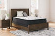 Limited Edition PT Mattress - image 3