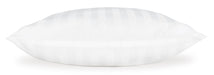 Zephyr 2.0 Cotton Pillow (Set of 2)