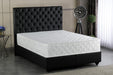 Fvr Mf 9" Full Mattress in a Box