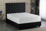 Cream(Love+Chaise)