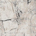 Wyscott 7'10" x 10'3" Rug - Black/Gray;Brown/Beige