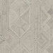 Jadott 5' x 7' Rug - Brown/Beige