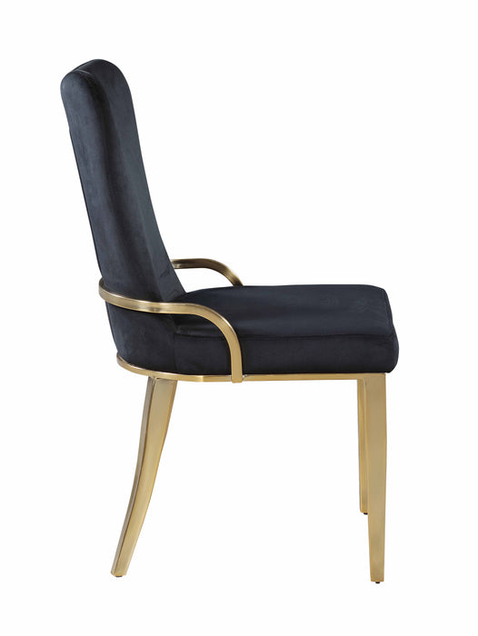 Contemporary Side Chair w/ Golden Legs - 2 per box RILEY-SC-GLD-BLK