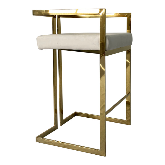 Timeless Gold and Beige Dining Chair