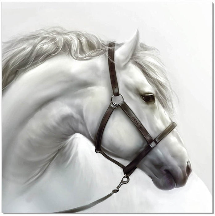 Wall Art White Horse 18193