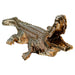 Ambrose Diamond Encrusted Gold Plated Crocodile (25L x 9W x 7.5H)