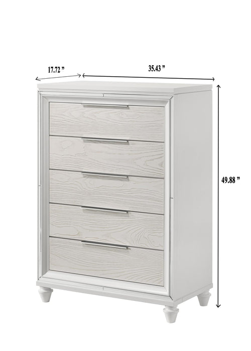 B9831 Chest