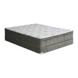 Aleksa 11" Euro Top Mattress - White/Gray