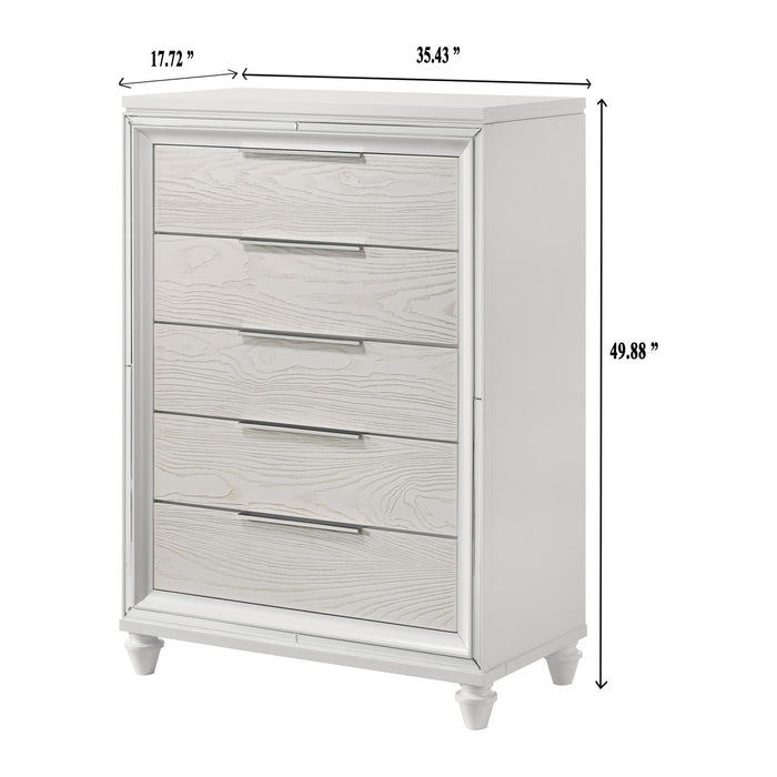 B9831 Chest