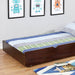 Grano Trundle - Dark Walnut