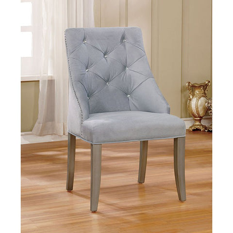 Diocles Side Chair (Set of 2) - Silver/Gray