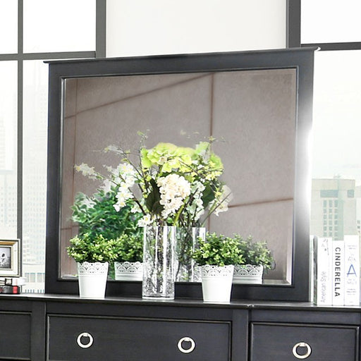 Arabelle Mirror - Wire-Brushed Black