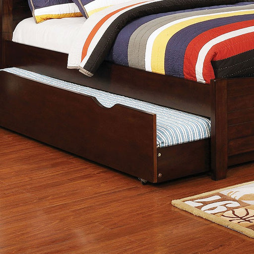 Brogan Trundle - Brown Cherry