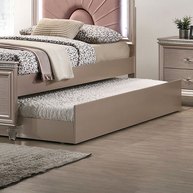 Allie Trundle - Rose Gold