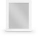 Monad 30" W X 36" H Birch Veneer Frame Mirror