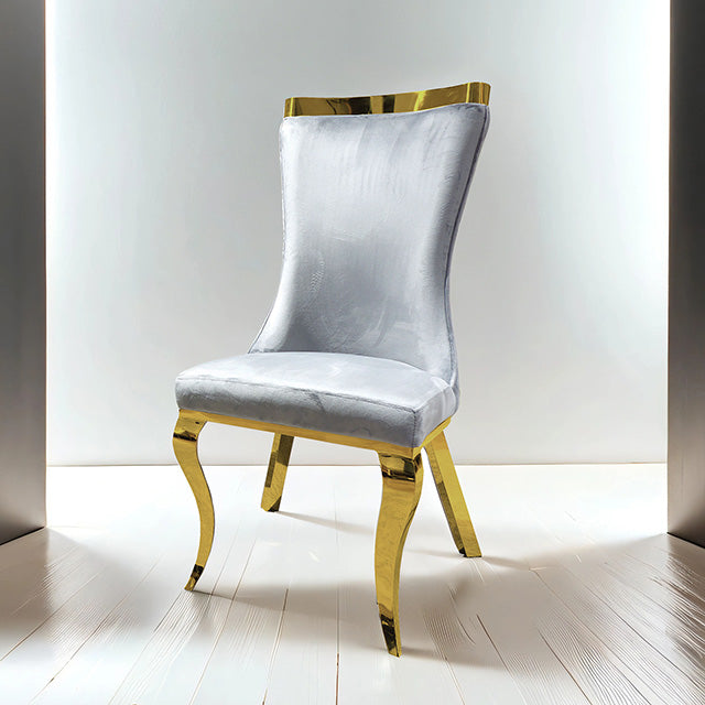 Basilicata Gold Chair (Set of 2) - Gray