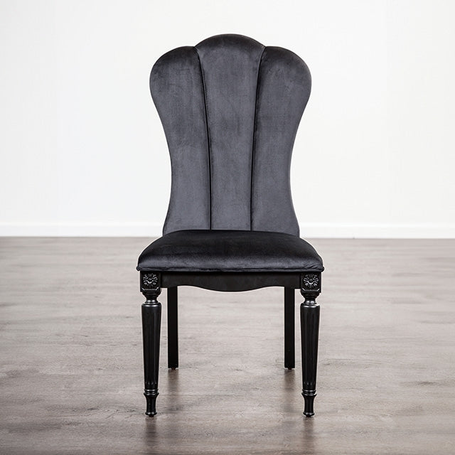 Melodi Parc Side Chair (Set of 2) - Black