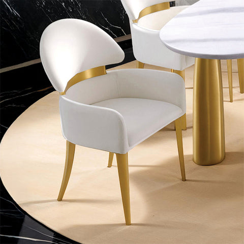 Northam Arm Chair (Set of 2) - White/Matte Gold