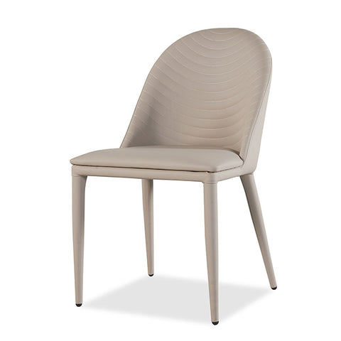 Lenvik Side Chair (Set of 2)