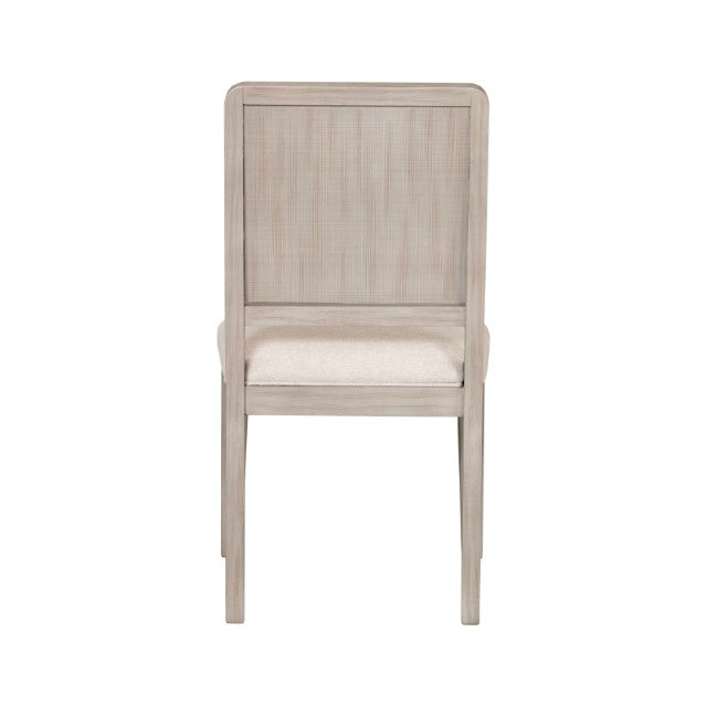 Belize Side Chair (Set of 2) - Gray