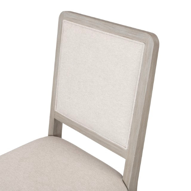 Belize Side Chair (Set of 2) - Gray
