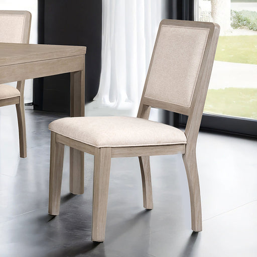 Belize Side Chair (Set of 2) - Gray