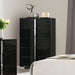 Sinistra Chest - Piano Black