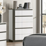 Birsfelden Chest - White/Metallic Gray