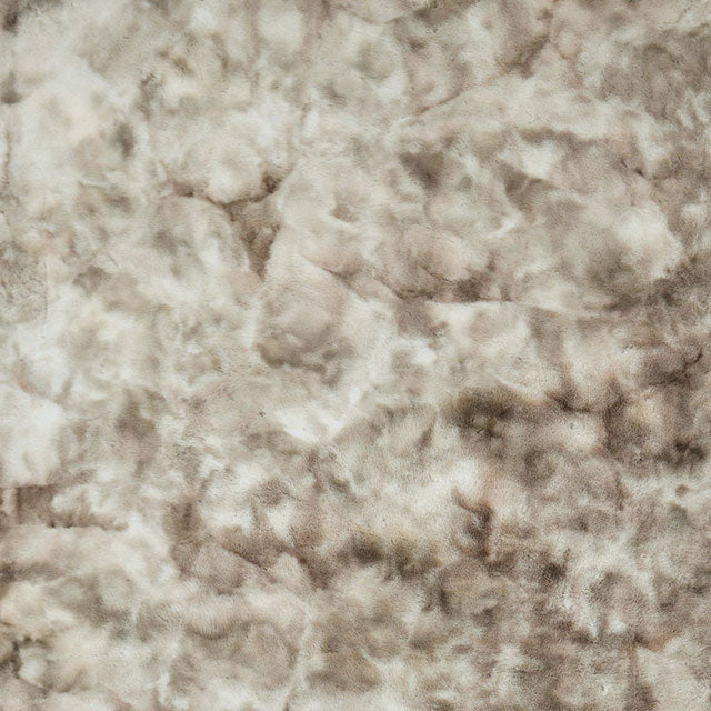 Famalica Area Rug - Tie-Dye Beige