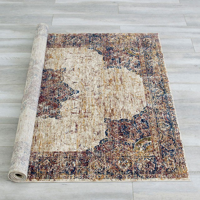 Payas Area Rug - Multi