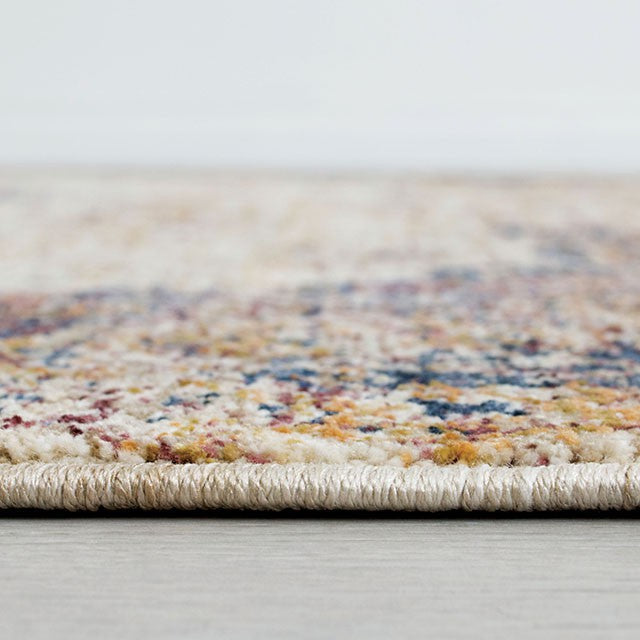 Payas Area Rug - Multi