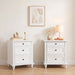 Risor Nightstand - White / Nightstand (SL7206WH-N-2PK-3A)
