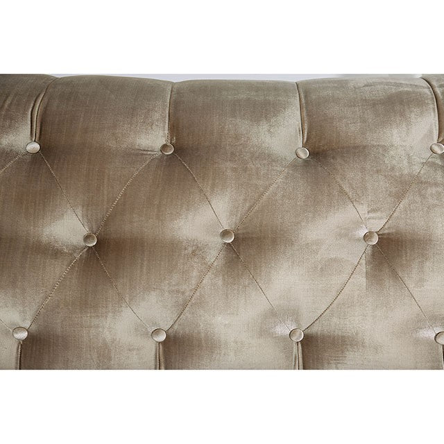 Elicia Sofa - Champagne/Turquoise