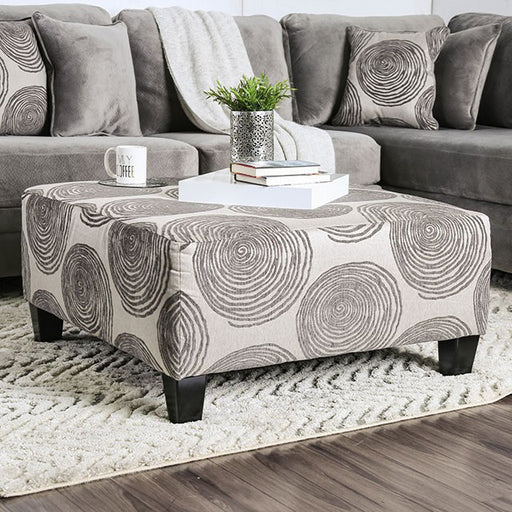 Bonaventura Ottoman - Gray/Pattern